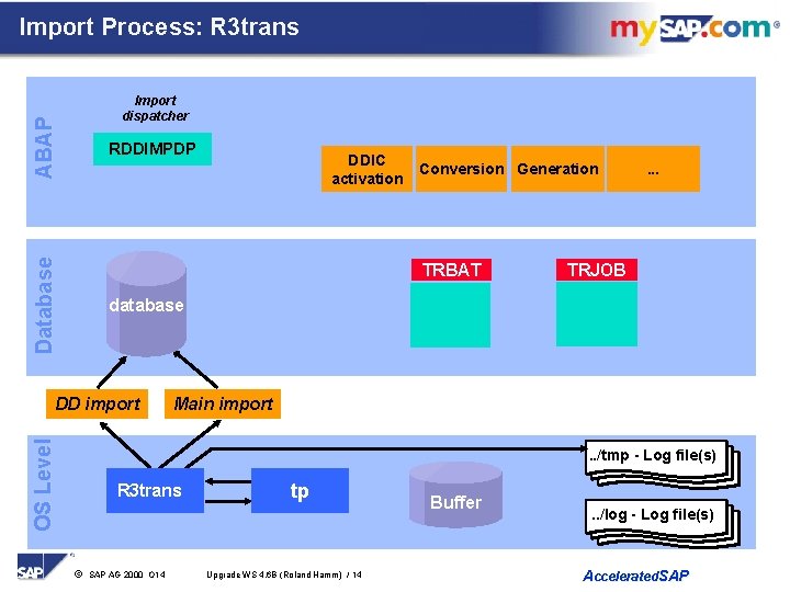 Import Process: R 3 trans ABAP Import dispatcher Database RDDIMPDP DDIC activation Conversion Generation
