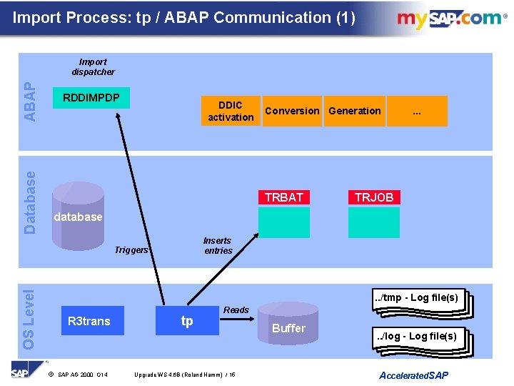 Import Process: tp / ABAP Communication (1) Database ABAP Import dispatcher RDDIMPDP DDIC activation