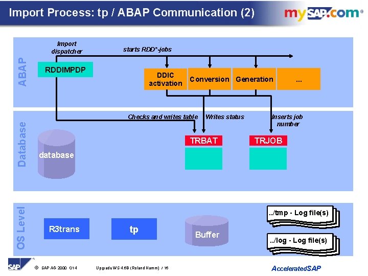 Import Process: tp / ABAP Communication (2) ABAP Import dispatcher starts RDD*-jobs RDDIMPDP DDIC