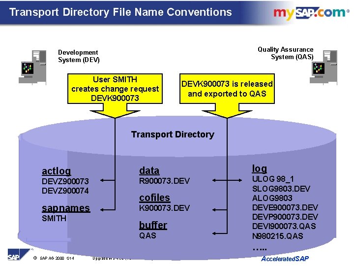 Transport Directory File Name Conventions Quality Assurance System (QAS) Development System (DEV) User SMITH