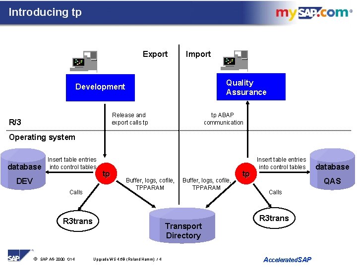 Introducing tp Export Import Quality Assurance Development Release and export calls tp R/3 tp