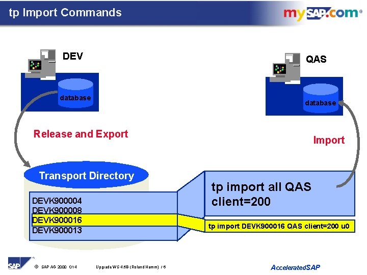 tp Import Commands DEV QAS database Release and Export Transport Directory DEVK 900004 DEVK