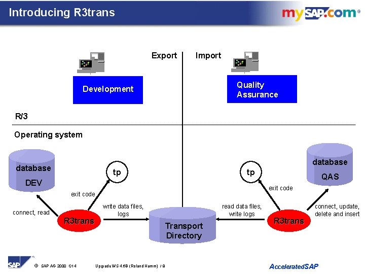 Introducing R 3 trans Export Import Quality Assurance Development R/3 Operating system database tp
