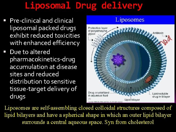 Liposomal Drug delivery Pre-clinical and clinical liposomal packed drugs exhibit reduced toxicities with enhanced