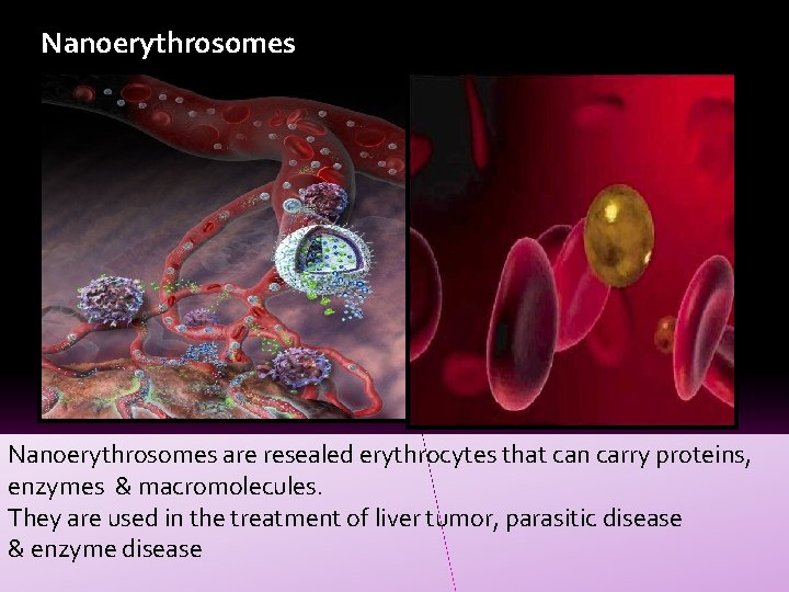 Nanoerythrosomes are resealed erythrocytes that can carry proteins, enzymes & macromolecules. They are used