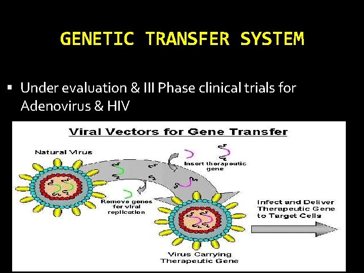 GENETIC TRANSFER SYSTEM Under evaluation & III Phase clinical trials for Adenovirus & HIV