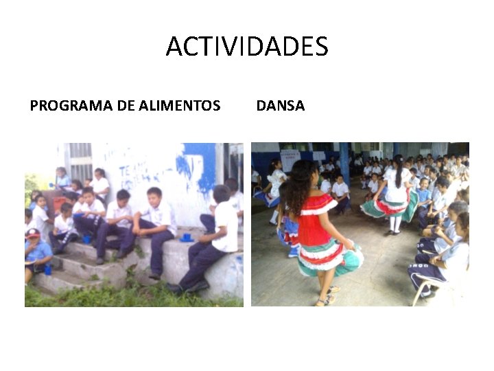 ACTIVIDADES PROGRAMA DE ALIMENTOS DANSA 