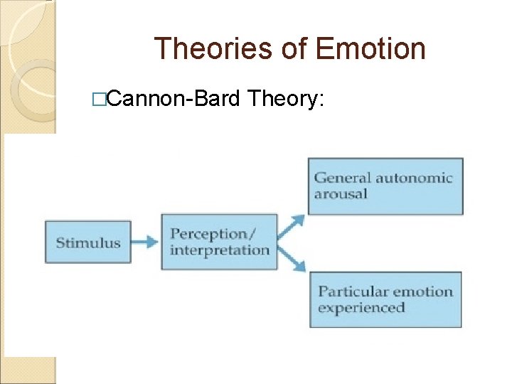 Theories of Emotion �Cannon-Bard Theory: 