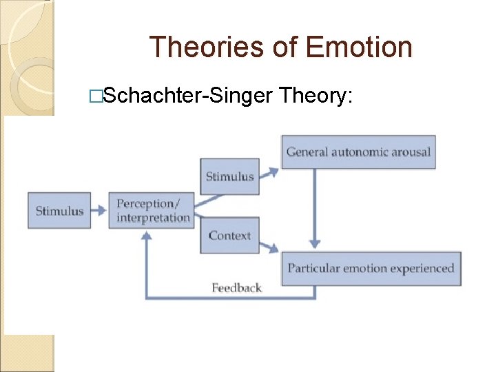 Theories of Emotion �Schachter-Singer Theory: 