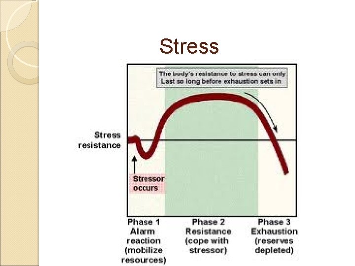 Stress 