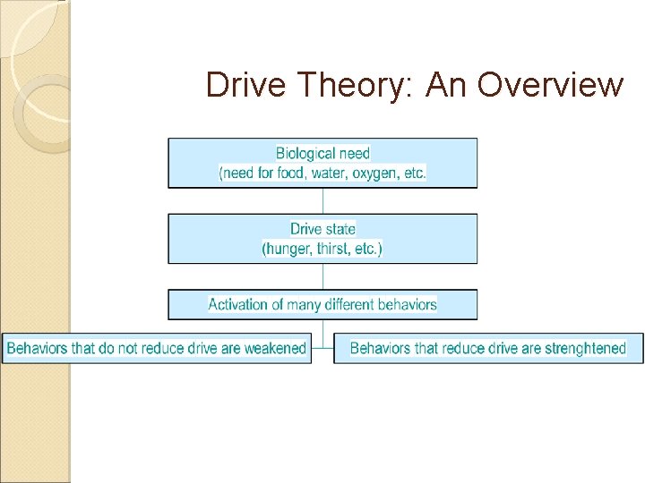 Drive Theory: An Overview 