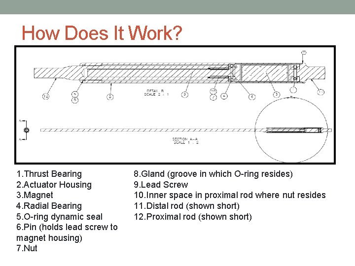 How Does It Work? 1. Thrust Bearing 2. Actuator Housing 3. Magnet 4. Radial