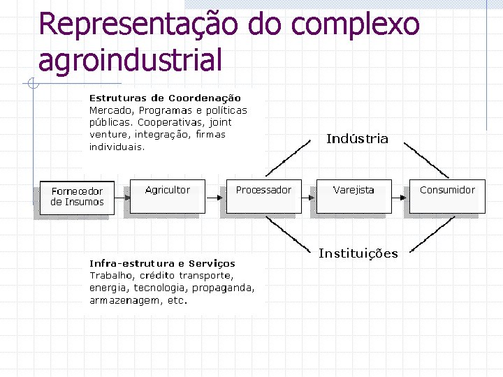 Representação do complexo agroindustrial 