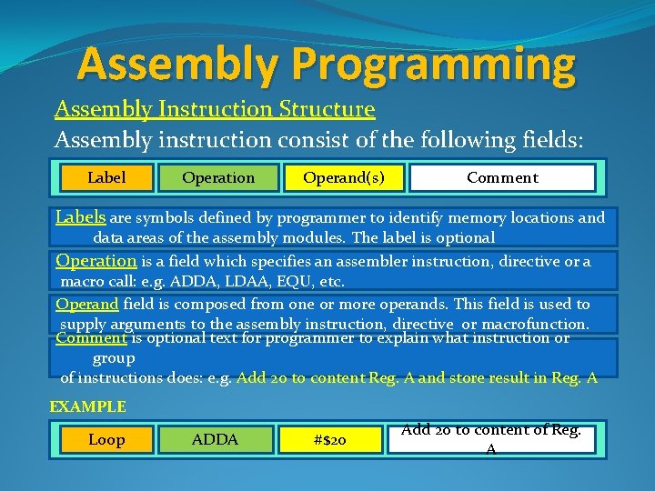 Assembly Programming Assembly Instruction Structure Assembly instruction consist of the following fields: Label Operation