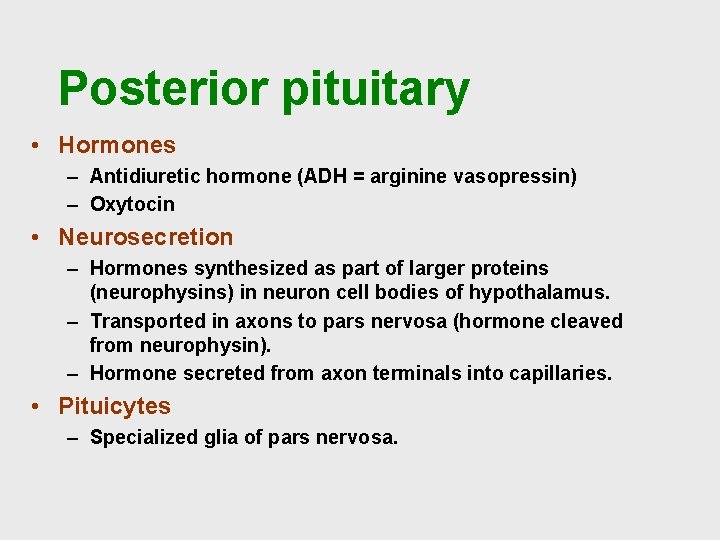 Posterior pituitary • Hormones – Antidiuretic hormone (ADH = arginine vasopressin) – Oxytocin •