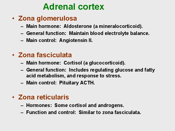 Adrenal cortex • Zona glomerulosa – Main hormone: Aldosterone (a mineralocorticoid). – General function: