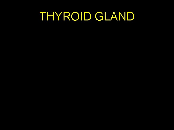 THYROID GLAND 