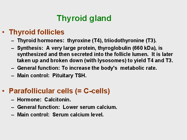 Thyroid gland • Thyroid follicles – Thyroid hormones: thyroxine (T 4), triiodothyronine (T 3).