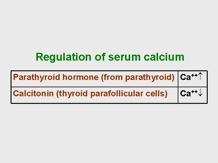 Regulation of serum calcium Parathyroid hormone (from parathyroid) Ca++ Calcitonin (thyroid parafollicular cells) Ca++¯