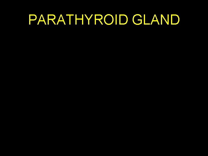 PARATHYROID GLAND 