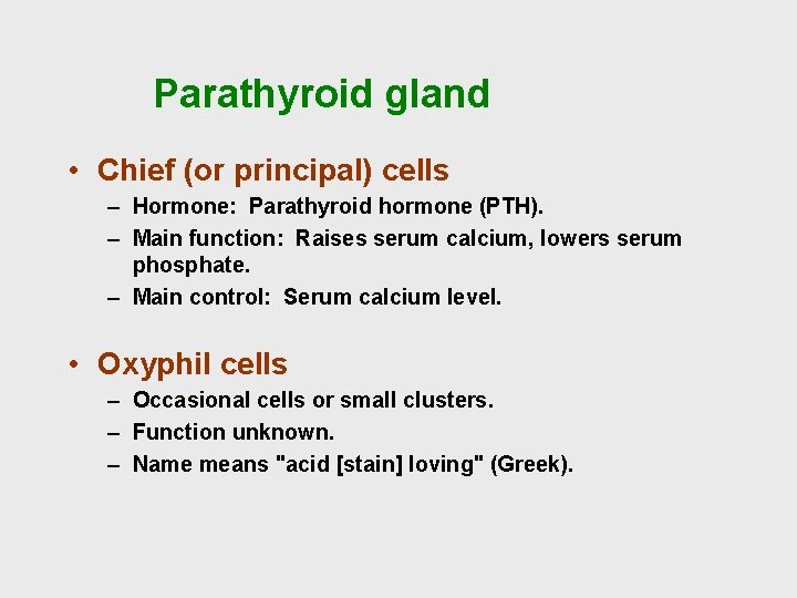 Parathyroid gland • Chief (or principal) cells – Hormone: Parathyroid hormone (PTH). – Main