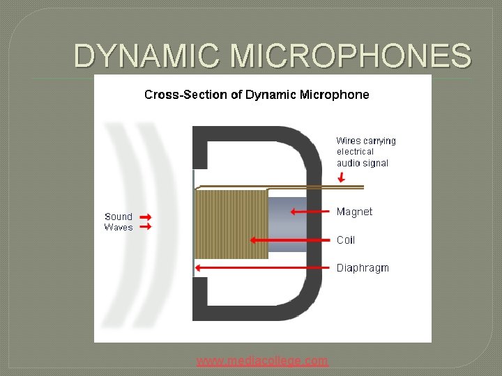 DYNAMIC MICROPHONES www. mediacollege. com 