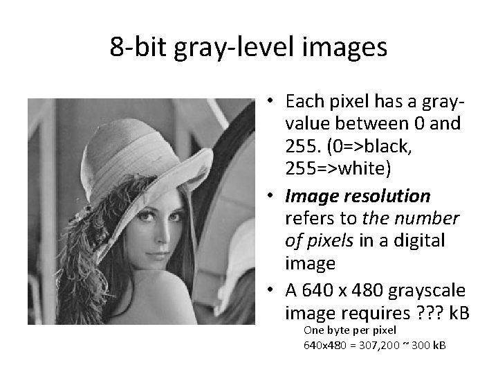 8 -bit gray-level images • Each pixel has a grayvalue between 0 and 255.