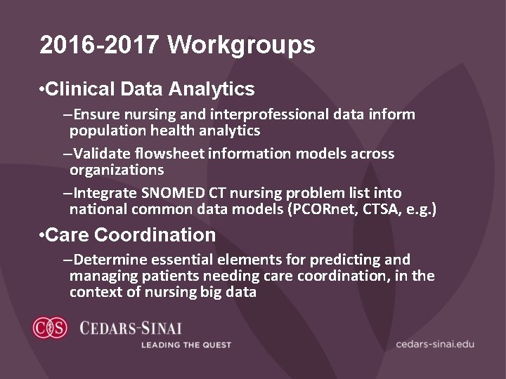 2016 -2017 Workgroups • Clinical Data Analytics –Ensure nursing and interprofessional data inform population