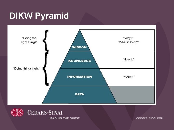 DIKW Pyramid 