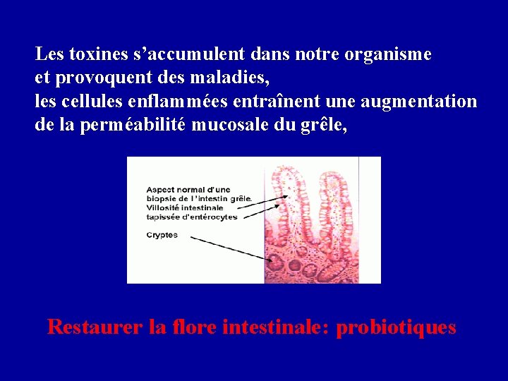 Les toxines s’accumulent dans notre organisme et provoquent des maladies, les cellules enflammées entraînent