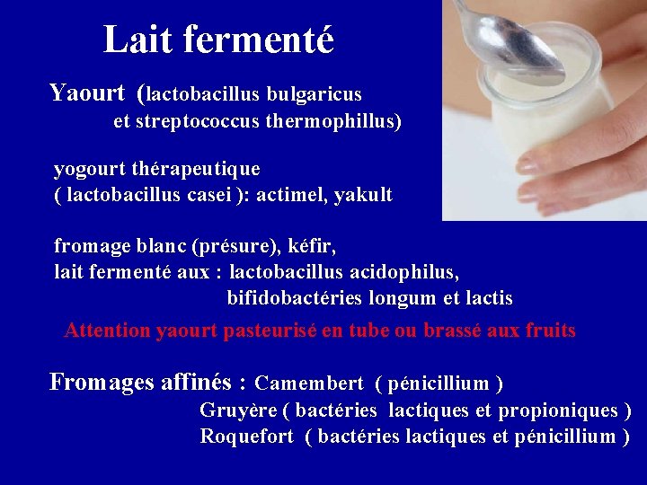 Lait fermenté Yaourt (lactobacillus bulgaricus et streptococcus thermophillus) yogourt thérapeutique ( lactobacillus casei ):