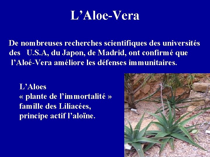 L’Aloe-Vera De nombreuses recherches scientifiques des universités des U. S. A, du Japon, de