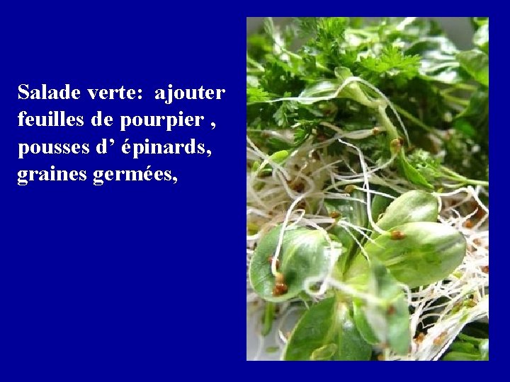 Salade verte: ajouter feuilles de pourpier , pousses d’ épinards, graines germées, 