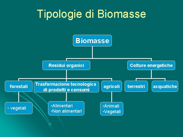 Tipologie di Biomasse Residui organici forestali • vegetali Colture energetiche Trasformazione tecnologica di prodotti