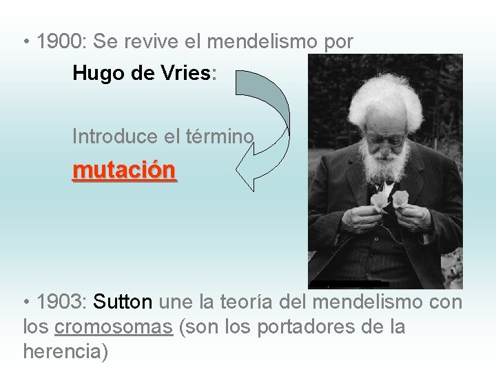  • 1900: Se revive el mendelismo por Hugo de Vries: Introduce el término