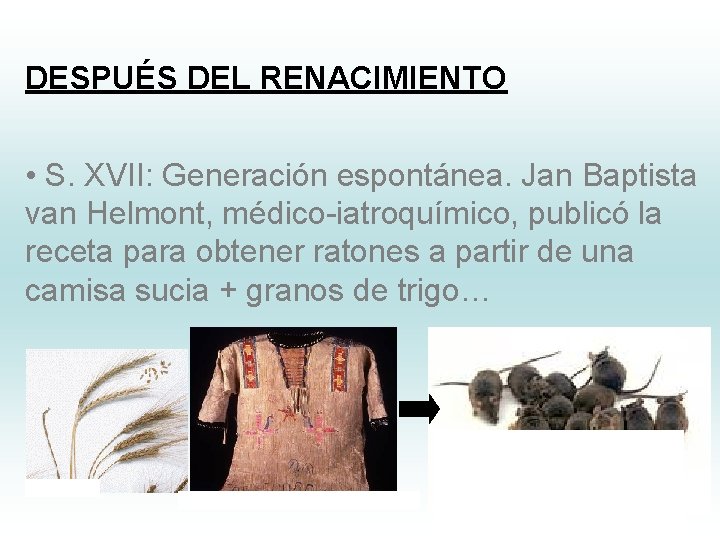 DESPUÉS DEL RENACIMIENTO • S. XVII: Generación espontánea. Jan Baptista van Helmont, médico-iatroquímico, publicó