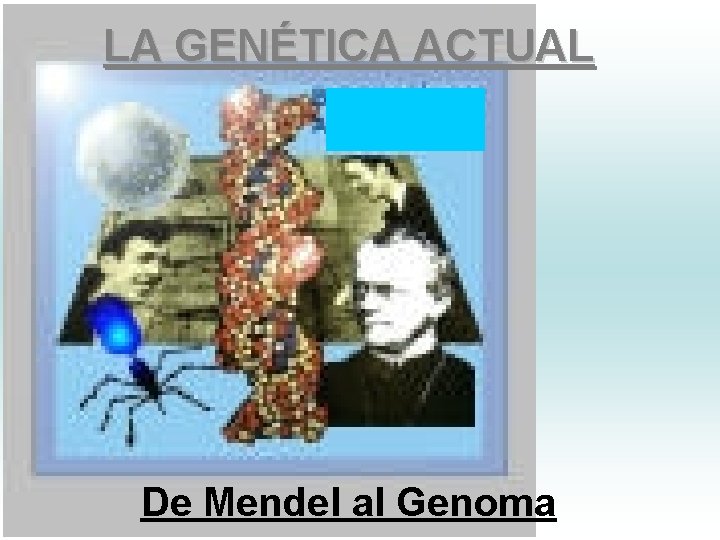 LA GENÉTICA ACTUAL De Mendel al Genoma 