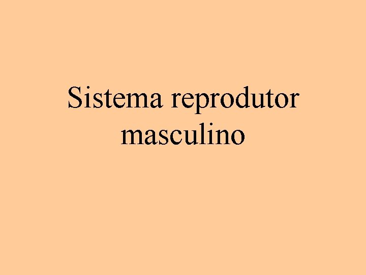 Sistema reprodutor masculino 