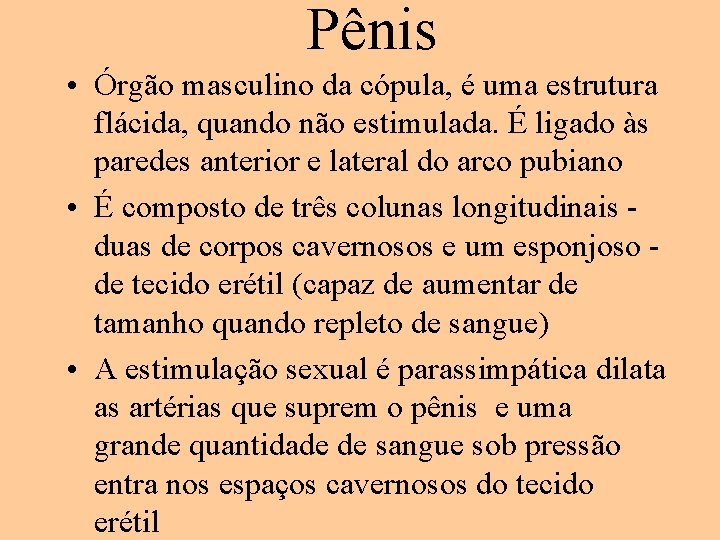 Pênis • Órgão masculino da cópula, é uma estrutura flácida, quando não estimulada. É