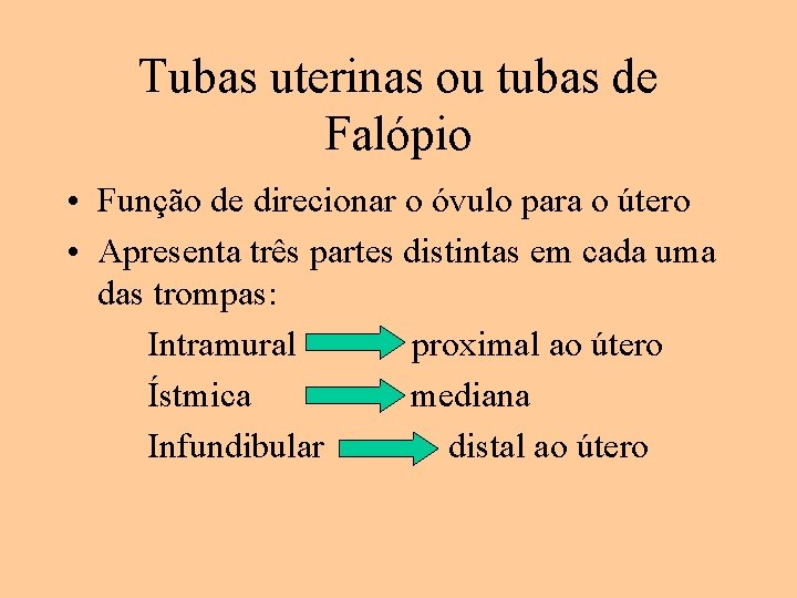 Tubas uterinas ou tubas de Falópio • Função de direcionar o óvulo para o