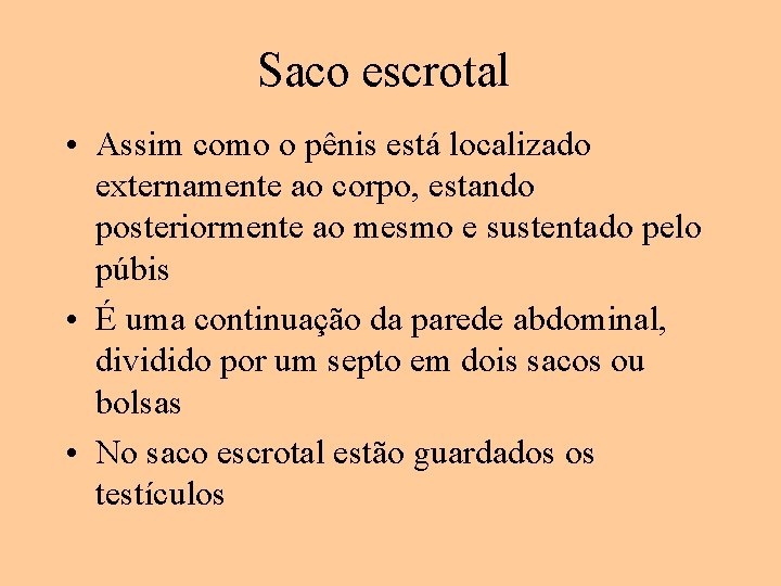 Saco escrotal • Assim como o pênis está localizado externamente ao corpo, estando posteriormente