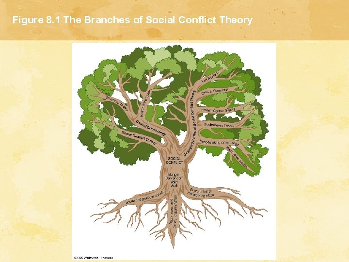 Figure 8. 1 The Branches of Social Conflict Theory 