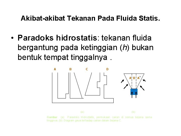 Akibat-akibat Tekanan Pada Fluida Statis. • Paradoks hidrostatis: tekanan fluida bergantung pada ketinggian (h)