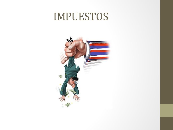 IMPUESTOS 