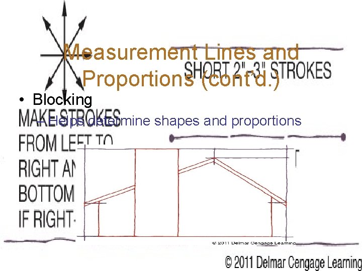 Measurement Lines and Proportions (cont’d. ) • Blocking – Helps determine shapes and proportions