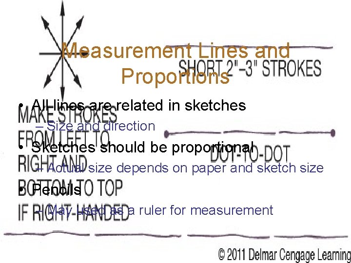 Measurement Lines and Proportions • All lines are related in sketches – Size and