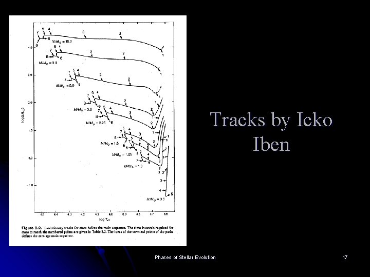 Tracks by Icko Iben Phases of Stellar Evolution 17 Tracks by Icko Iben Phases of Stellar Evolution 17
