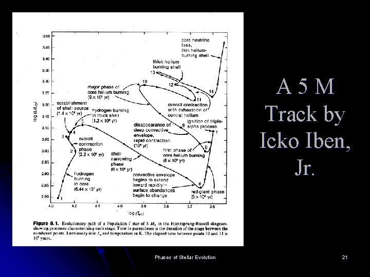 A 5 M Track by Icko Iben, Jr. Phases of Stellar Evolution 21 