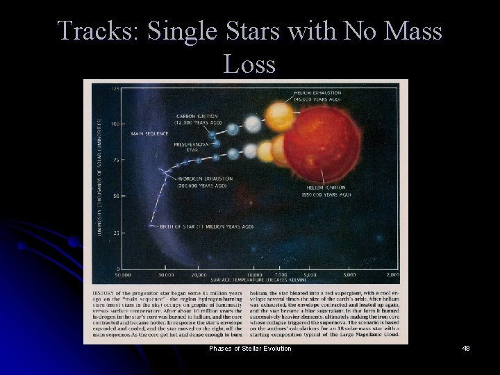 Tracks: Single Stars with No Mass Loss Phases of Stellar Evolution 48 