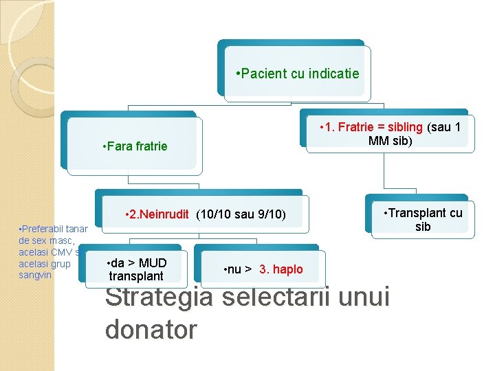 • Pacient cu indicatie • 1. Fratrie = sibling (sau 1 MM sib)